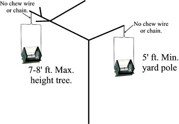 How high to hang bird feeders, correct height