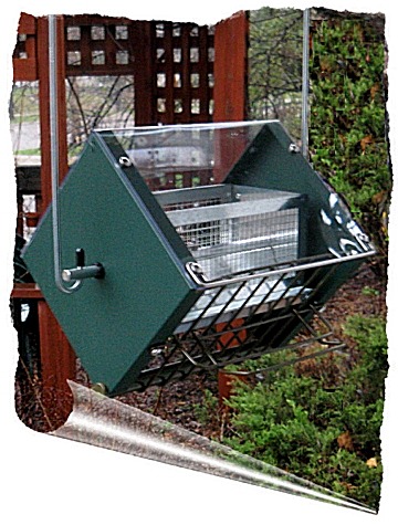 Red squirrel proof bird feeder by RollerFeeder, rf2-cardinal-T2grn-RedSq Click for another photo