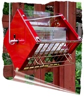 Rf2 cardinal-red squirrel proof feeder steel hopper gold option. 