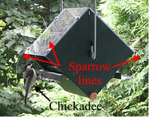 How to Deter House Sparrows with Fishing Line