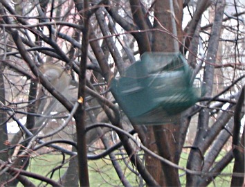 Rollerfeeder protects seed 3-ways.